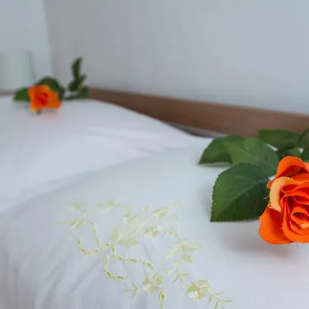 View Apartament Trogir